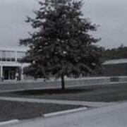 Hamer Hall entrance