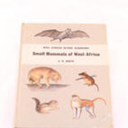 Small Mammals of West Africa