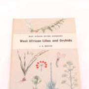 West African Lilies and Orchids