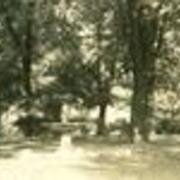 Fountain and Trees