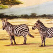18x14 Oil on canvas matted and framed zebras - close-up