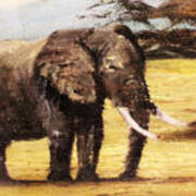 18x14 Oil on canvas matted and framed elephant - close-up