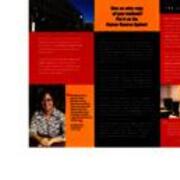 Manderino Library Brochures