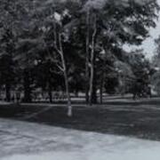 Academic Quad