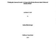 Finding the Common Ground: A Critique of the Division Between Genre Fiction and Literacy Fiction
