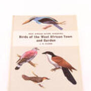 Birds of the West African Town and Garden
