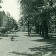 Dixon Hall with trees