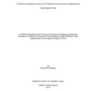 The Role of Subculture Theory in the Treatment and Correction of Addiction and Drug Related Crime