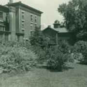 Rear view of Dixon Hall with bushes