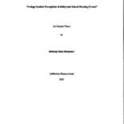 College Student Perceptions of Safety and School Shooting Events