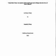 Asian Hate Crime: An Analysis of Past and Present and a Glimpse Into the Lives of Those Affected