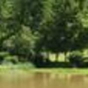2007-06-09 shapeimage_3