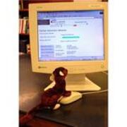 2004-02-06 Reference Runner Weasel JPG