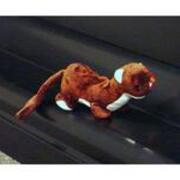 2004-02-06 Runner Weasel on the Piano JPG