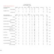 Fall 2006 Majors, by Race and Gender-Primary Majors Only