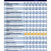2008-2009 E-Book Circulation