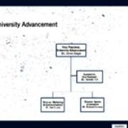 Division of University Advancement