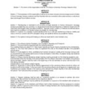2020 Venango Veterans Club Constitution and By-Laws