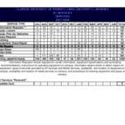 2007-2008 Preliminary Statistics-AV Expanded Statistics-Services