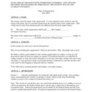 ca. 2020 Mock Constitution and By-Laws Template