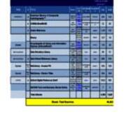 2010-2011 E-Book Circulation