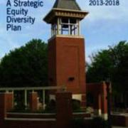 Strategic Equity Diversity Plan 2013-2018, December 31, 2013