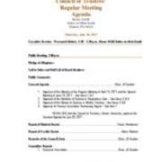 2017-07-20 Council of Trustees Agenda and Attachments