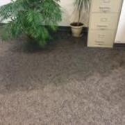 2015-02-20 Flood 7 JPG