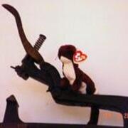 2004-02-06 Working Weasel JPG