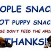 2012-06-25 People Snacks Not Puppy Snacks