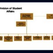 Division of Student Affairs