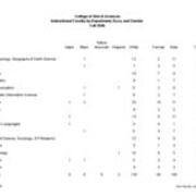 Instructional Faculty by Race
