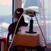 2004-02-06 Webcam Weasel JPG