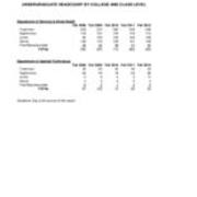 Undergraduate Headcount by Class Level