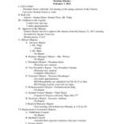 2-7-11 Student Senate Minutes
