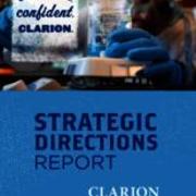 Strategic Directions Report, ca. 2014