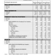 Total University Enrollment