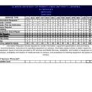 2008-2009 AV Expanded Statistics-Services