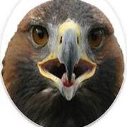 2012-10-12 Golden Eagle Round JPG