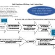 Field Experience Stage 1 and 2 Action Chart, undated