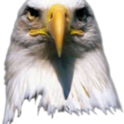 2011-11-10 Eagle Head PNG
