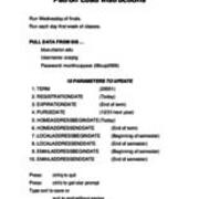 2011-04-04 Patron Load Instructions