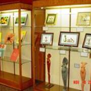 2003-05-27 Level A Display Case 2 JPG