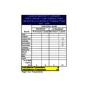 2007-2008 Preliminary Statistics-UBorrow and EZ Borrow