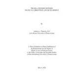 The Relationship between Political Corruption and Development