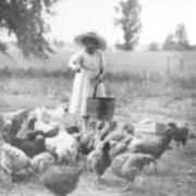 Romaine Billings feeding chickens
