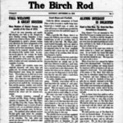 Birch Rod