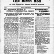 Birch Rod
