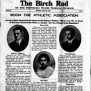 Birch Rod