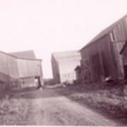 Goodell barns, 1945